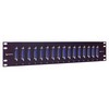 Picture of 3.50" x 19" Panel, 16 DB25 Female / Female Couplers