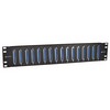 Picture of 3.50" x 19" Panel, 16 DB37 Female / Female Couplers