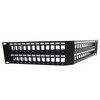 Picture of 3.5"x19" (2U) 48 Port Keystone Slots V-Panel with Cable Manager