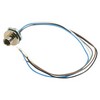 Picture of M12 4 Position A Code Female Receptacle, IP69K Rated, Rear Mounting Style with 0.3m Leads