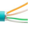 Picture of Category 5e Bulk Ethernet Cable, 2-Pair 22AWG Stranded 600V PoE, SF-UTP Outdoor Industrial High Flex PLTC-CM-CMX TPE Jacket, Teal 1000 ft