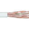 Picture of Category 5E UTP Plenum Rated 24 AWG 4-Pair Solid Conductor White, 1KFT