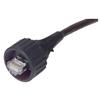 Picture of Industrial Cat5e Shielded Patch Cord, 2.0 meter