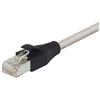 Picture of Shielded Cat 6 Cable, RJ45 / RJ45 LSZH Jacket, 150.0 ft