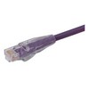 Picture of Premium Category 5E Patch Cable, RJ45 / RJ45, Violet 1.0 ft